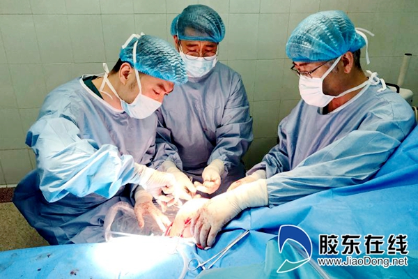 膝关节外侧副韧带重建用人工韧带,膝关节人工韧带重建