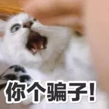 微信公众号微信支付需要钱吗,微信支付的时候提示存在风险