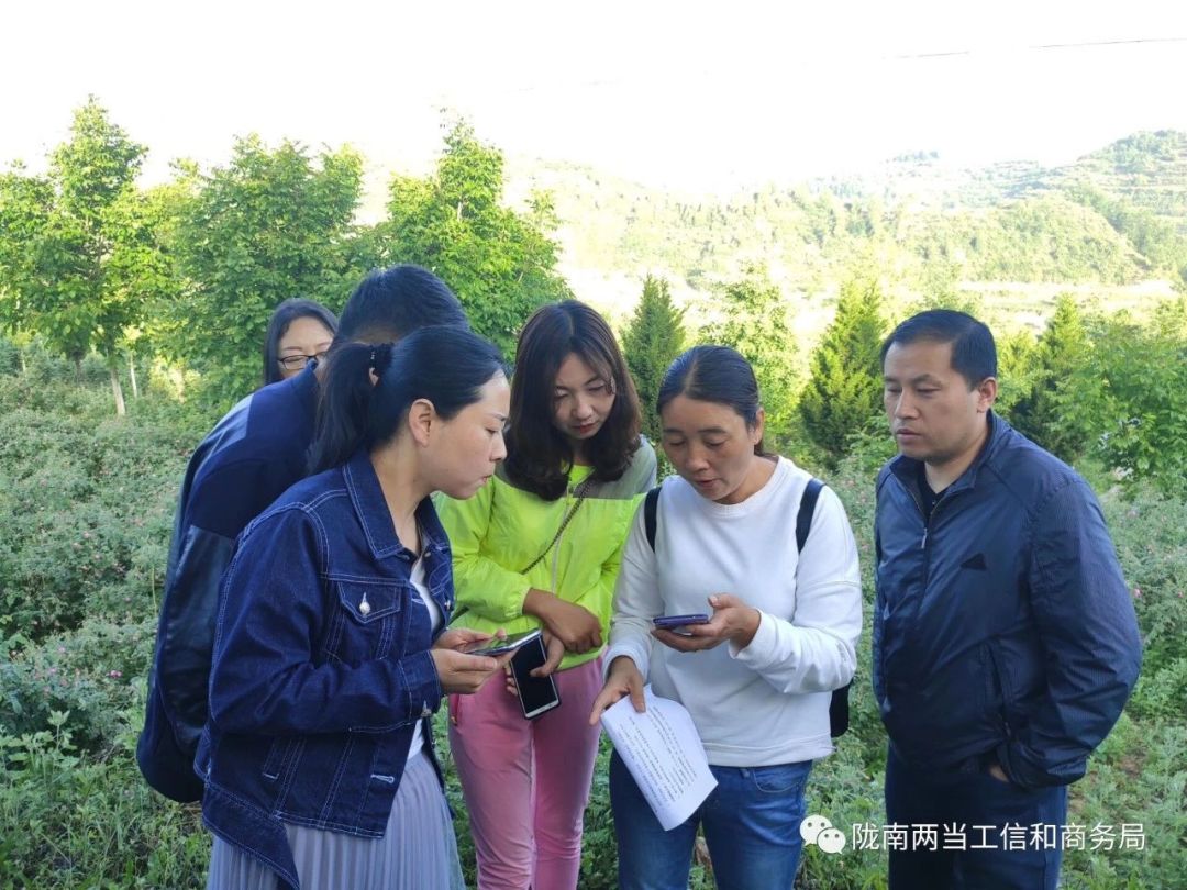 电商脱贫攻坚视察,电商扶贫产业新门路怎么做