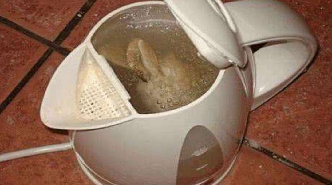 轻易别碰一次性*裤内**，穿上就脱不下去了