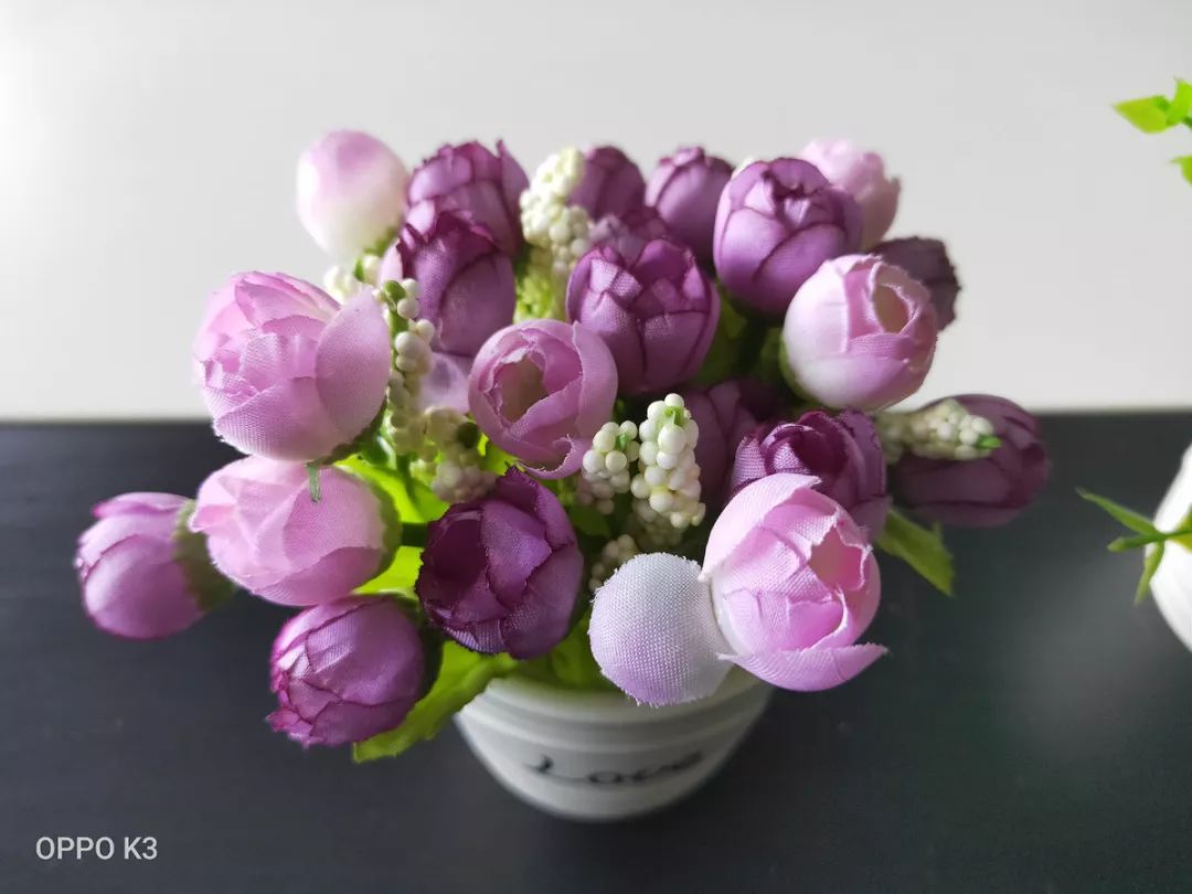 oppo性能好又便宜,oppo可玩性不高