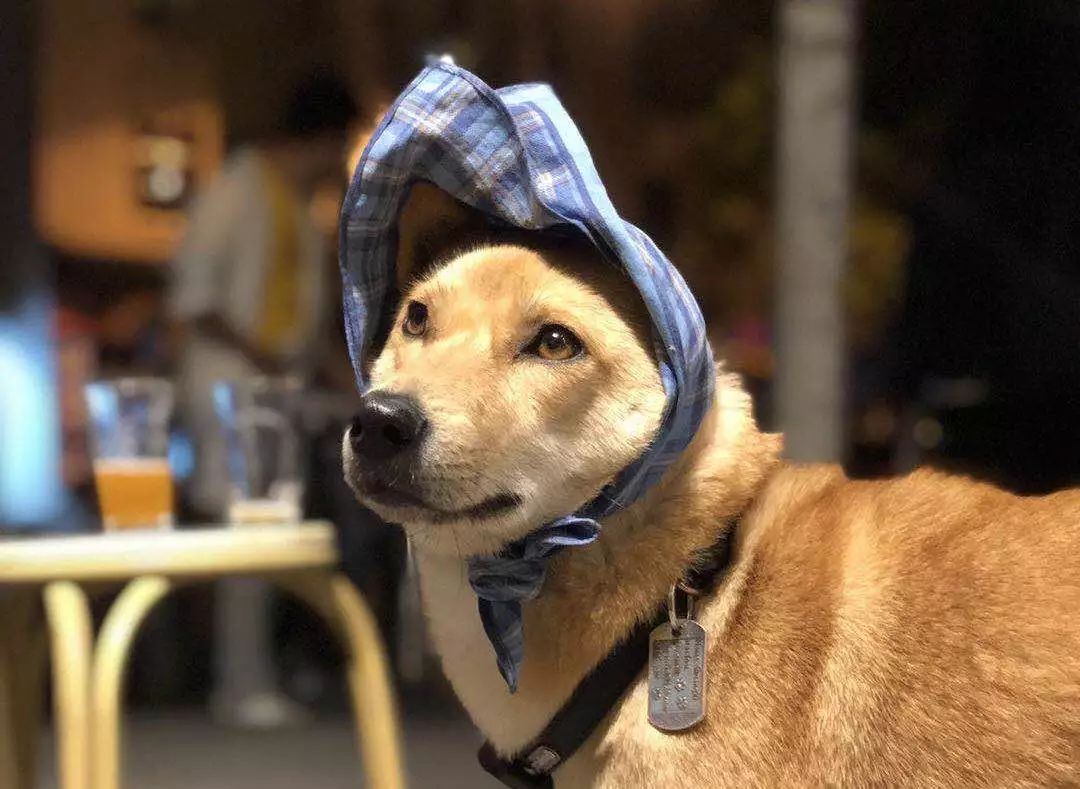 手动捂脸.JPEG：这是直男推荐的女生产品种草文