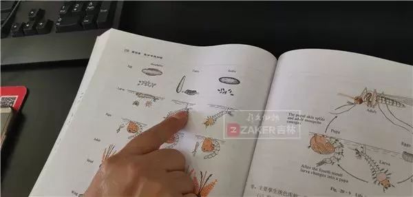 惊！长春高二女生头上洗出数条1厘米长白虫子！这个习惯你有吗？