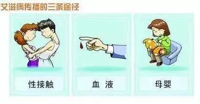 学习救护知识守护生命安全,学会急救知识守护生命安全