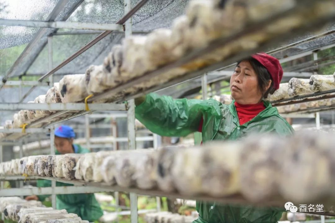 脱贫攻坚的成功故事,关于脱贫攻坚的成功故事