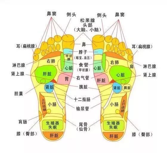 睡前泡脚抗衰老,泡脚水里加点它养生效果翻倍
