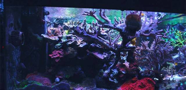 鉴定完毕就是好人吗,鉴定完毕就是亲生的没错了