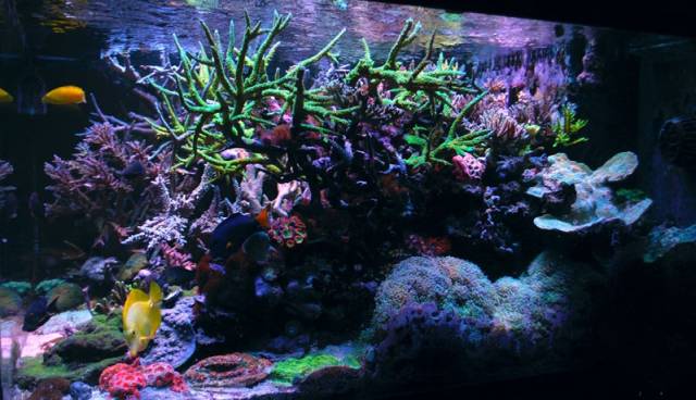 鉴定完毕就是好人吗,鉴定完毕就是亲生的没错了