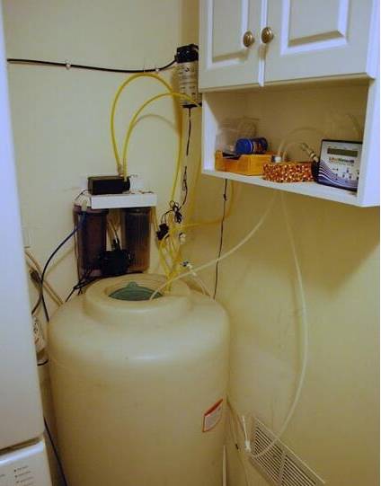 鉴定完毕就是好人吗,鉴定完毕就是亲生的没错了