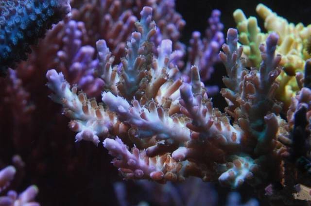 鉴定完毕就是好人吗,鉴定完毕就是亲生的没错了