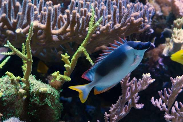 鉴定完毕就是好人吗,鉴定完毕就是亲生的没错了