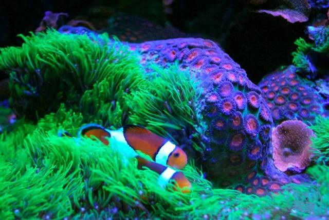 鉴定完毕就是好人吗,鉴定完毕就是亲生的没错了