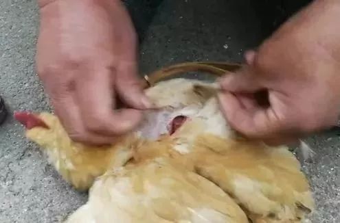 月入过万的高薪行业,冷门打工月入过万