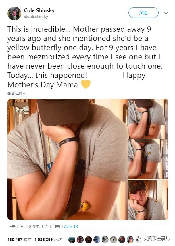 妈妈去世后化成黄蝴蝶,妈妈去世化作蝴蝶来看儿子