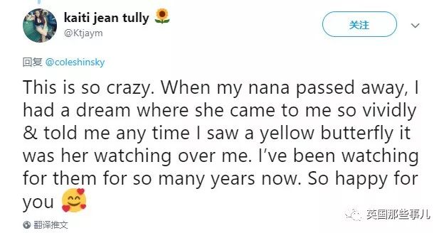 妈妈去世后化成黄蝴蝶,妈妈去世化作蝴蝶来看儿子