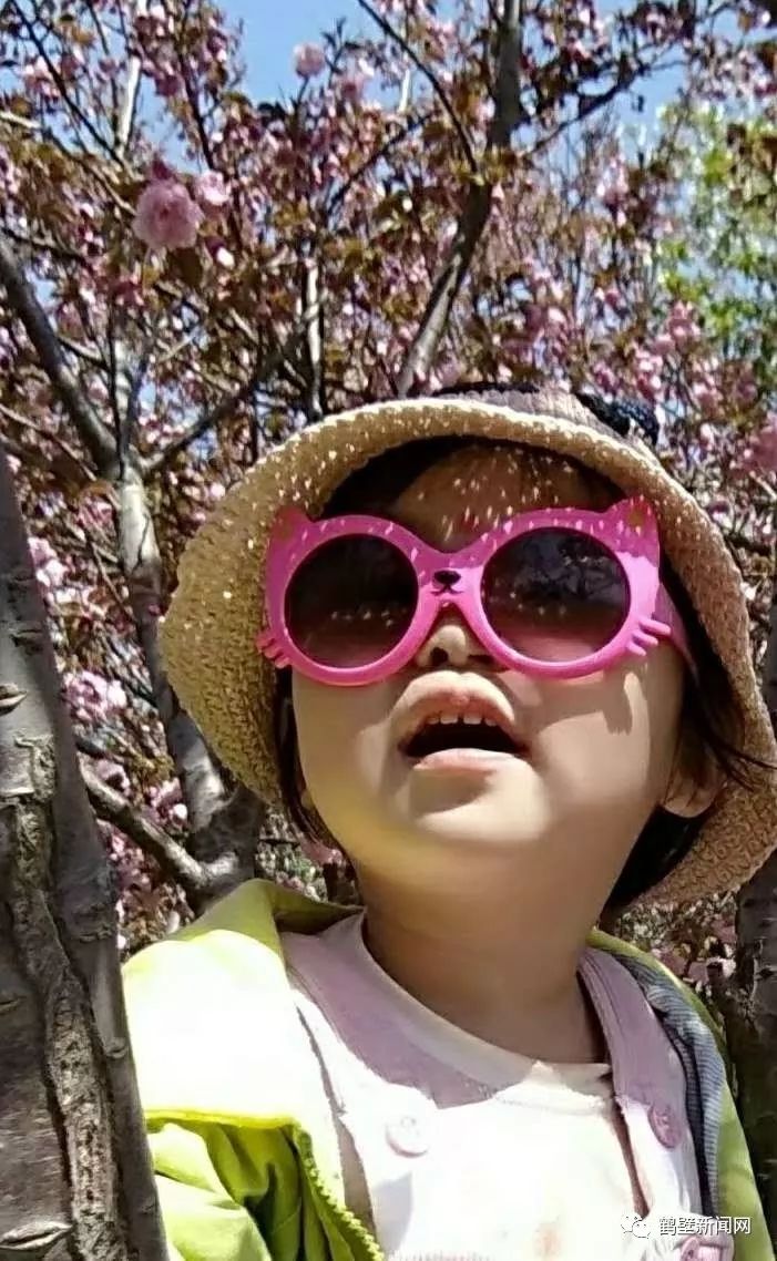 鹤壁新闻网通报,鹤壁新闻网头条新闻