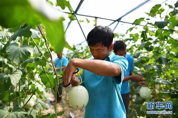 【他山之石】治懒病有良方