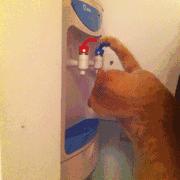 防火知识露天燃烧的危害,防火饮水机灭火