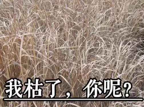 防火知识露天燃烧的危害,防火饮水机灭火