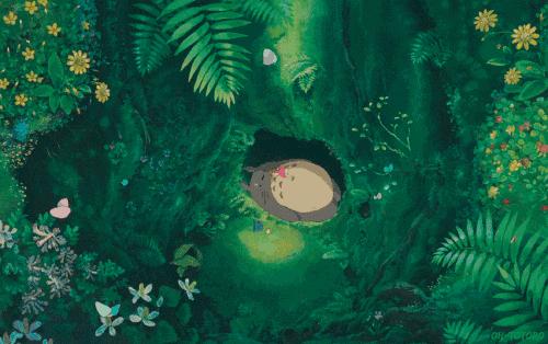 便宜的蚕丝被有什么套路,蚕丝被每日抢购