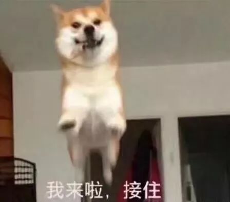 最好看的凉鞋大全,质量好的凉鞋推荐