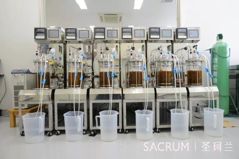 这个进口品牌带几百个渠道商游日本要深挖中国化妆品店