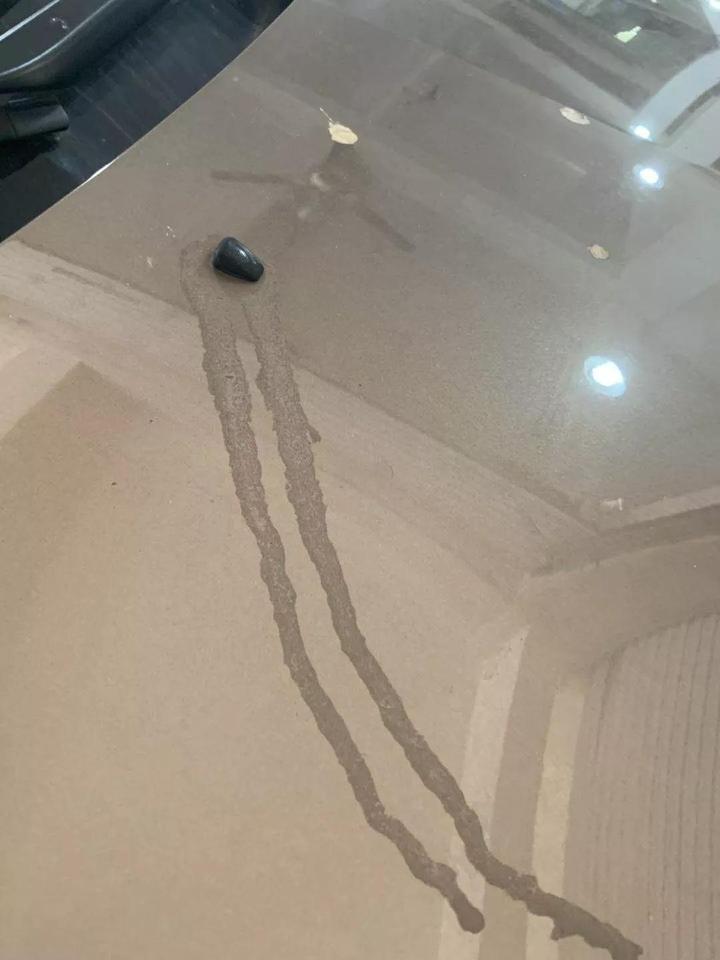 多大仇？男子把胶水滴在自家人的车上，最后悲剧了