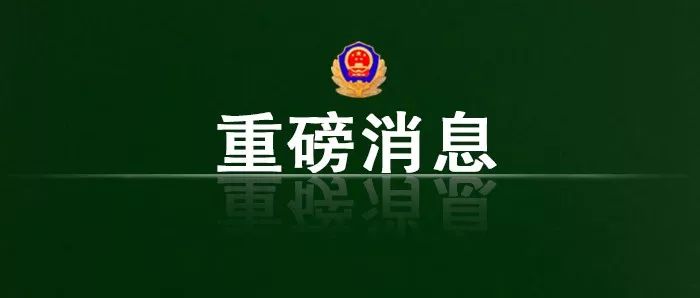 干部选拔任用政策法规梳理,干部选拔任用工作监督检查和追责