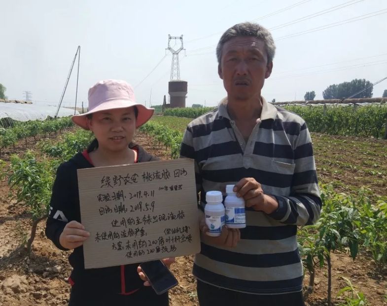 绿野杀菌剂,绿野农安