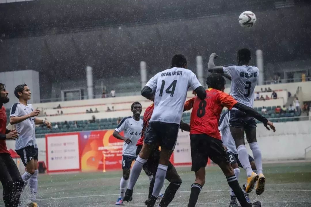 我们又双叒叕获奖了,我们又双叒叕夺冠了