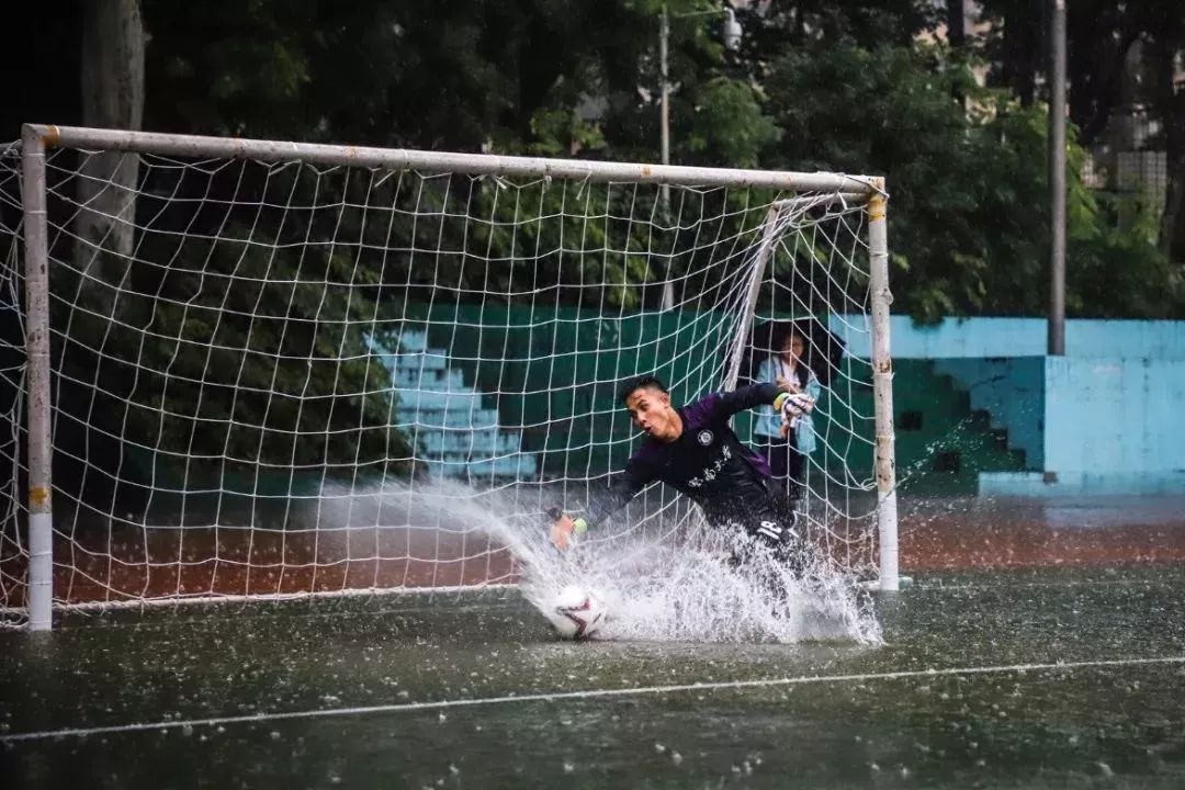 我们又双叒叕获奖了,我们又双叒叕夺冠了