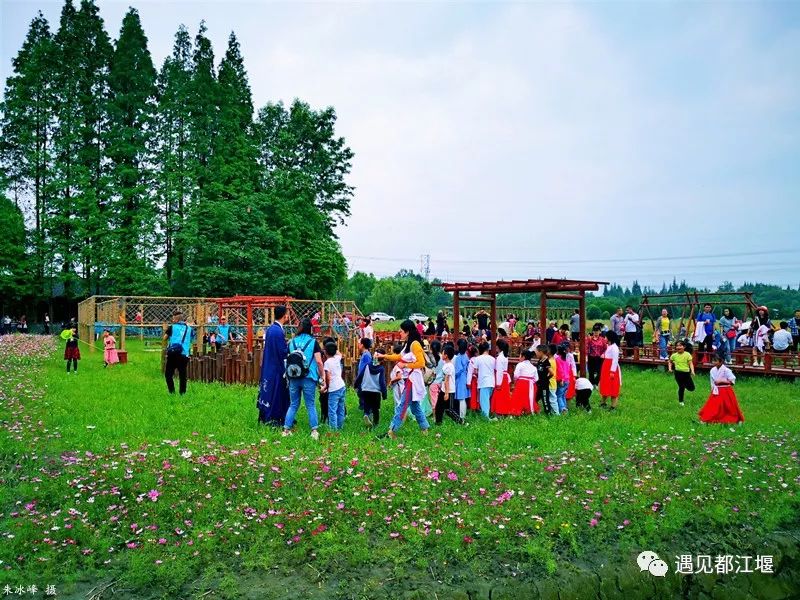 儿童节去哪里好玩,六一都江堰适合1-4岁亲子游的地方