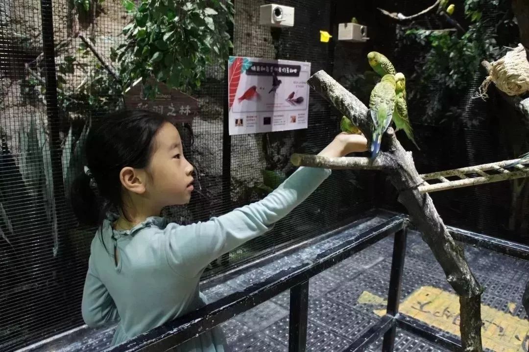 超好玩的手游多人生存,超好玩游戏手机版