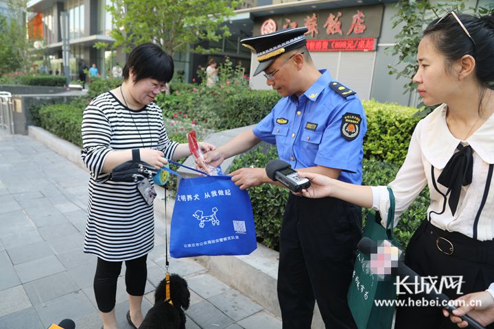 石家庄不文明养犬举报电话,开展不文明养犬行为专项治理