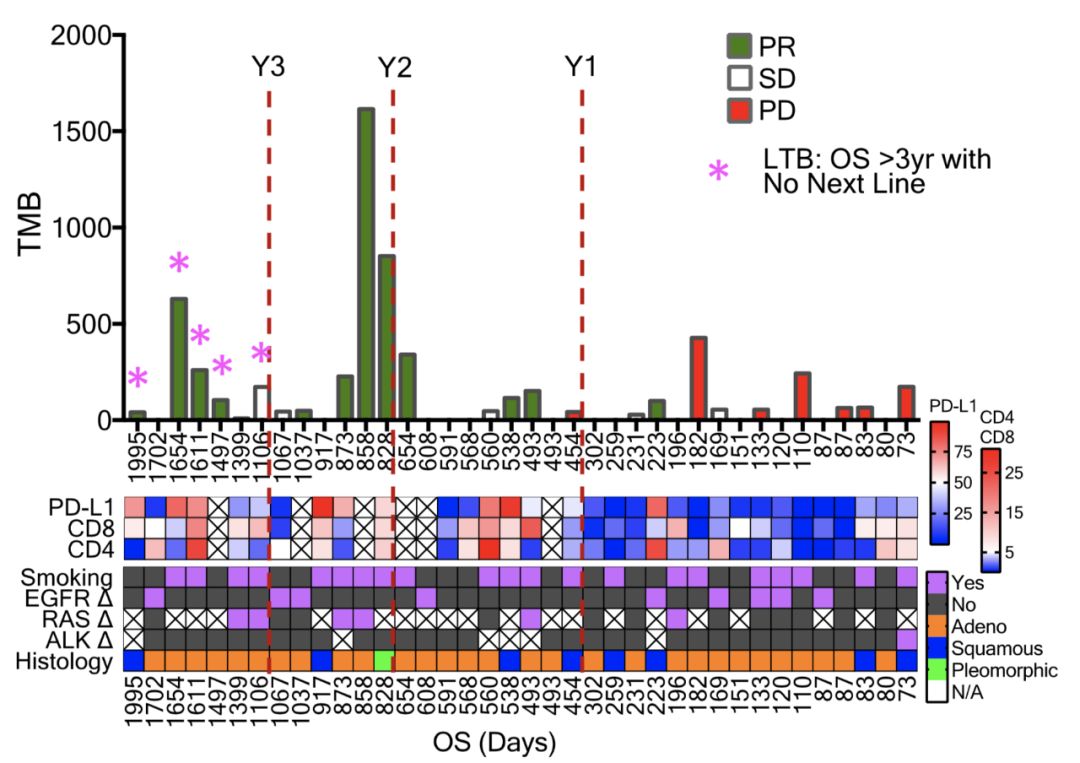 肺癌免疫联合化疗治疗时间,肺癌新辅助免疫联合化疗方案