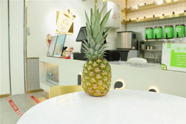 14年开店2000+！饮品界元老来西安了！2.9元喝新品！