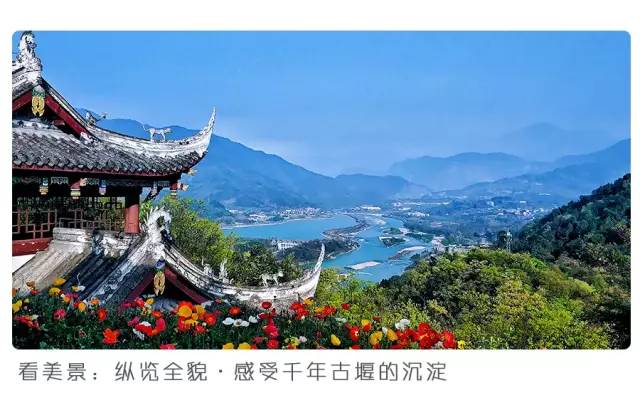 都江堰熊猫谷铲屎官报名,成都大熊猫铲屎官志愿者活动