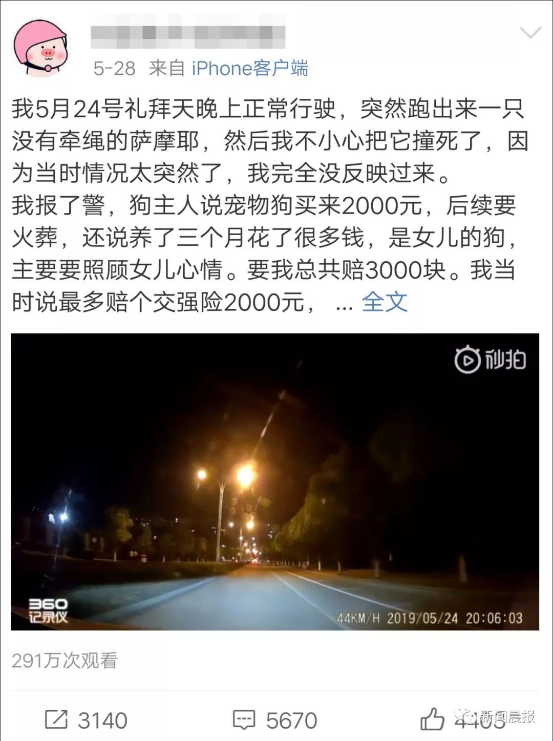 女子开车撞狗怎么判,女子驾车撞狗被判主责