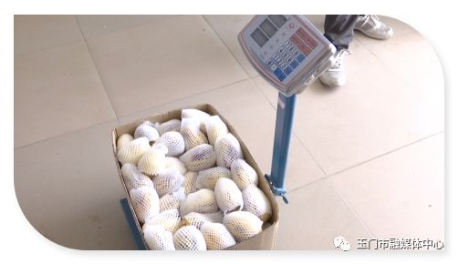 清泉人参果采摘园,清泉人参果特产介绍