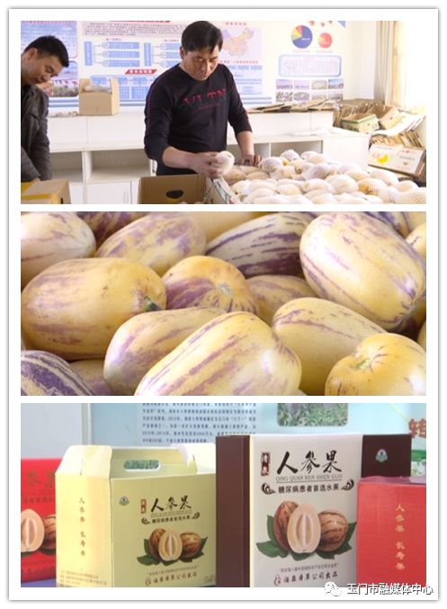 清泉人参果采摘园,清泉人参果特产介绍