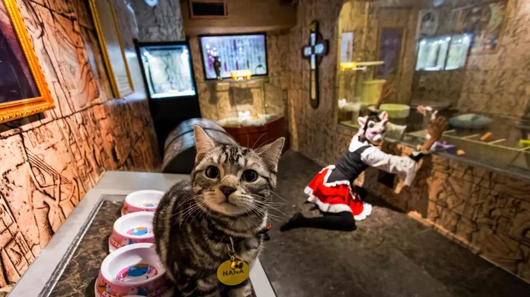 2千海景房推荐,入住300元的海景酒店