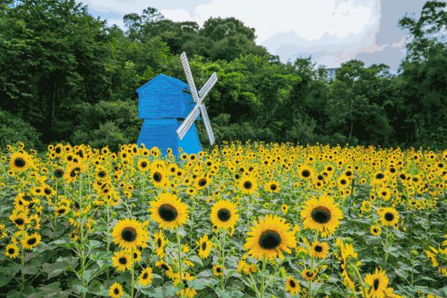 那些年我们的童年完整版,那些年我们童年玩过的游戏