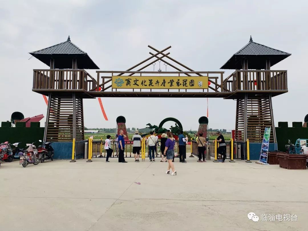 临淄花海公园在哪里,淄博临淄花海攻略