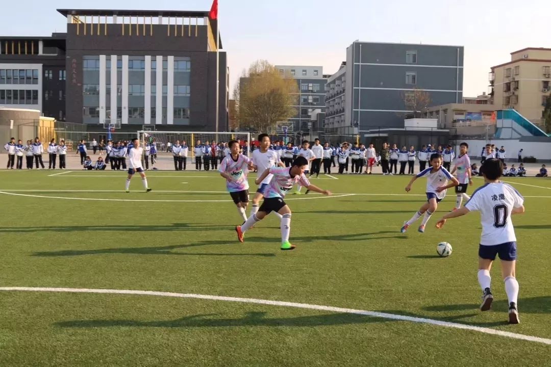 2019丰台区教育利好大盘点,丰台教育改革利好片区