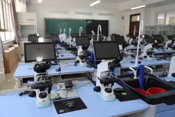 2019丰台区教育利好大盘点,丰台教育改革利好片区