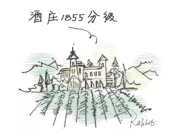 波尔多红酒美景,法国巴黎的红酒