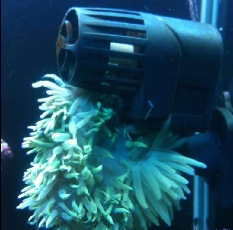 whatsapp时钟不正确怎么调,whatsapp显示版本过低