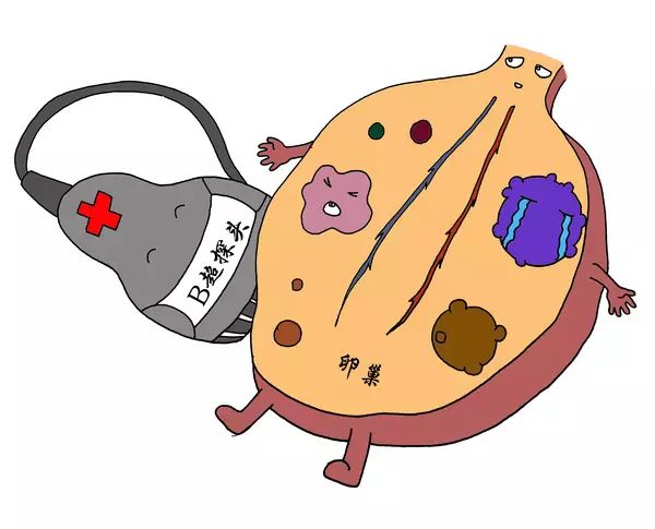 医生做B超时都在看什么？