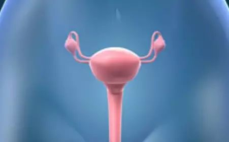 医生做B超时都在看什么？