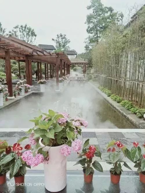 高手在民间决赛,贵州摄影比赛有哪些